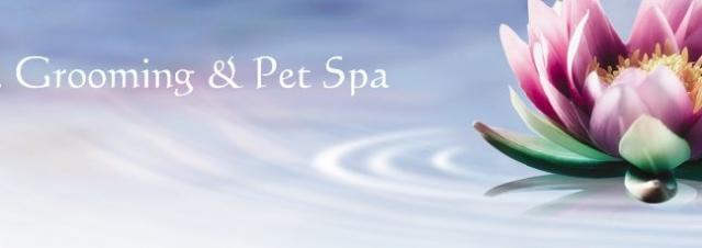 pet_spa1.jpg